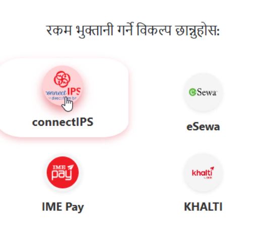 e passport online payment options in Nepal