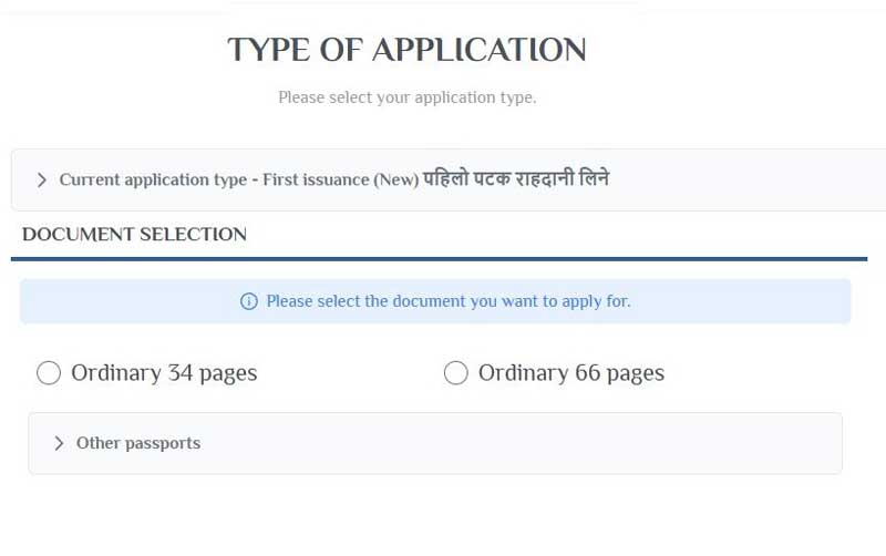 Passport page numbers