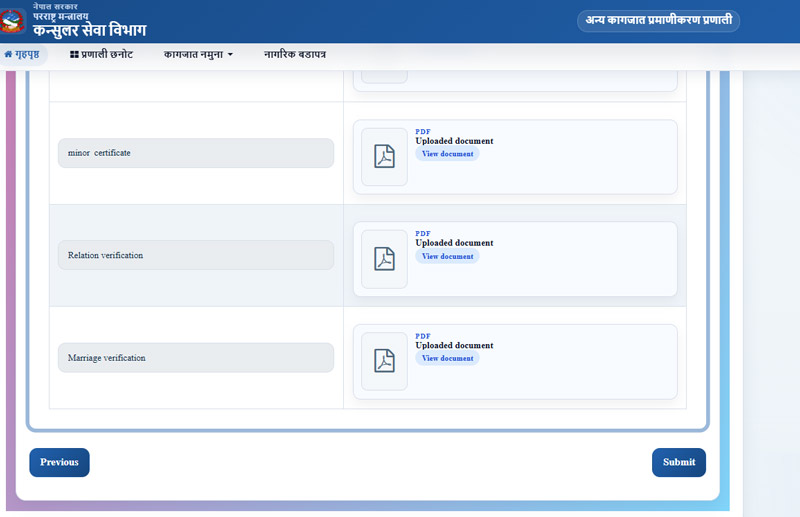 Previewing and Submitting Your Application on NEATS Screenshot of the NEATS Preview and Submit page showing uploaded documents with options to view files and submit the application.